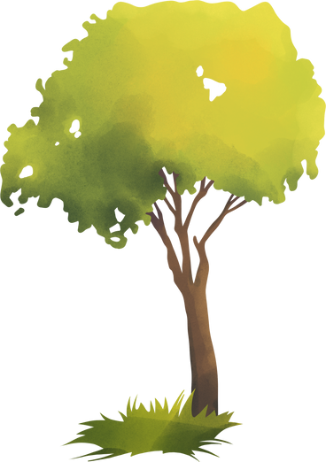 녹색 나무 PNG, SVG