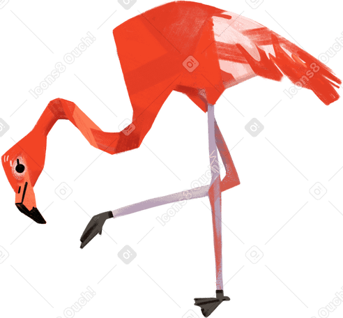 flamingos PNG, SVG