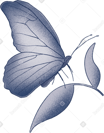 butterfly sitting on a leaf PNG, SVG