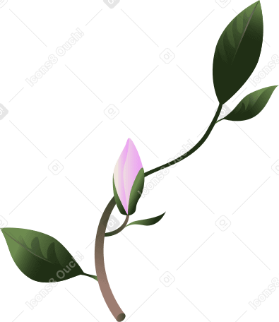 Ramita de magnolia con un capullo PNG, SVG