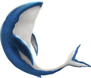Whale в PNG, SVG