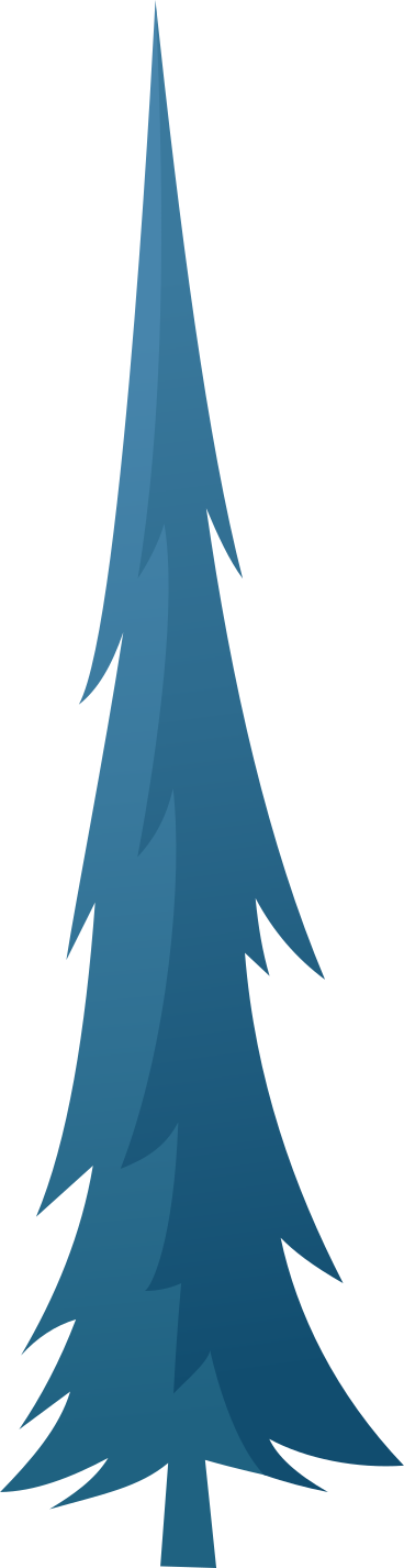 blue tall spruce PNG, SVG