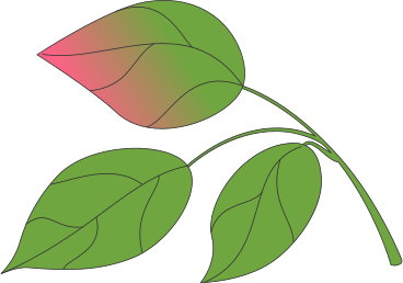 Ramoscello con foglie PNG, SVG