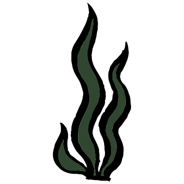 seaweed PNG, SVG