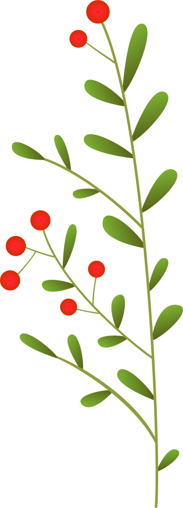 twig with small leaves and small red berries PNG, SVG