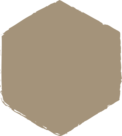 grey hexagon Illustration in PNG, SVG