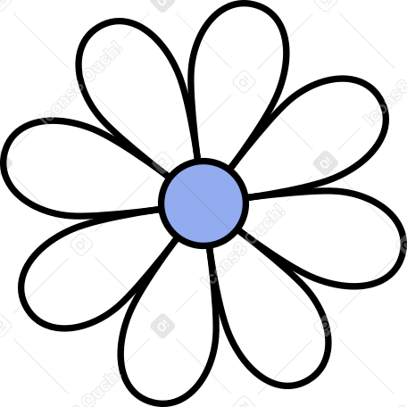 camomile flower Illustration in PNG, SVG