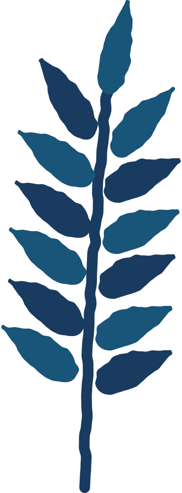마가목 잎 PNG, SVG