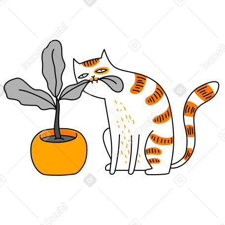 Vegetarian food Illustration in PNG, SVG