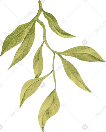 有许多叶子的绿色树枝 PNG, SVG