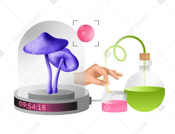 Научная колба и грибы для лабораторного эксперимента в PNG, SVG