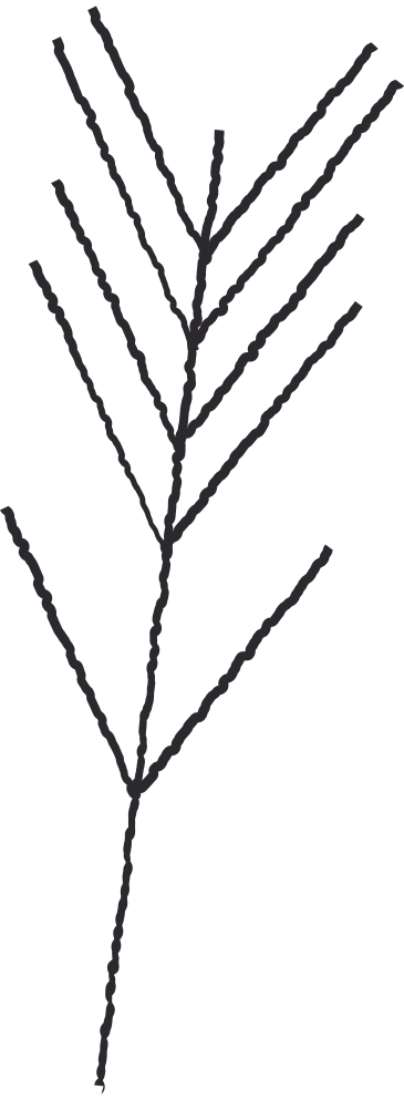 branch PNG, SVG