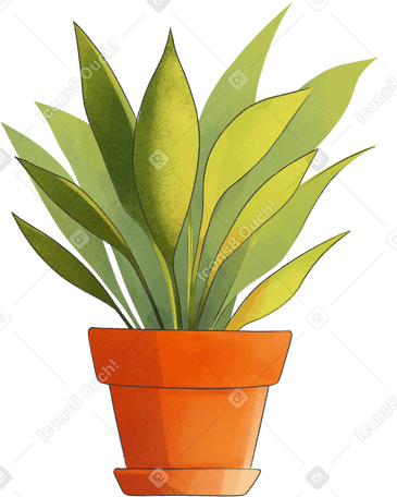 Домашнее растение в горшке в PNG, SVG