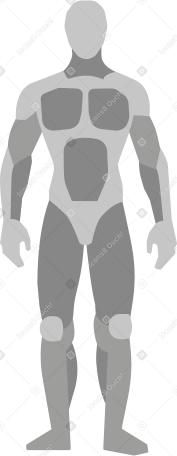diagram of the human body Illustration in PNG, SVG