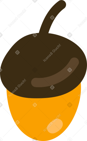 acorn Illustration in PNG, SVG