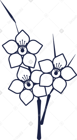 bouquet Illustration in PNG, SVG