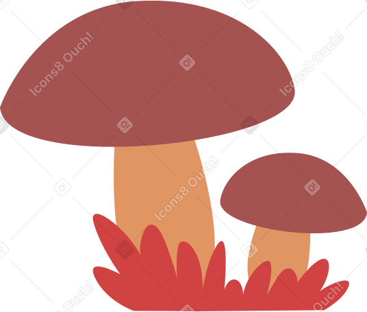 mushrooms Illustration in PNG, SVG