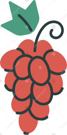 grape Illustration in PNG, SVG