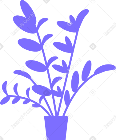 office plant with small leaves Illustration in PNG, SVG