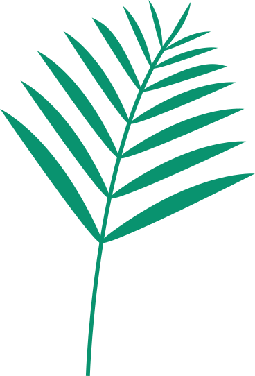 Green leaf of palm plant PNG, SVG