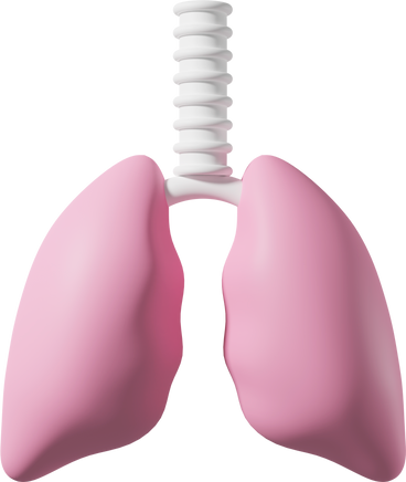 Pink lungs  PNG, SVG