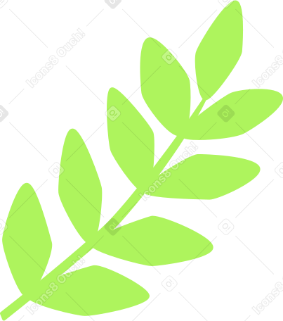 laurel branch Illustration in PNG, SVG