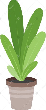 planta PNG, SVG