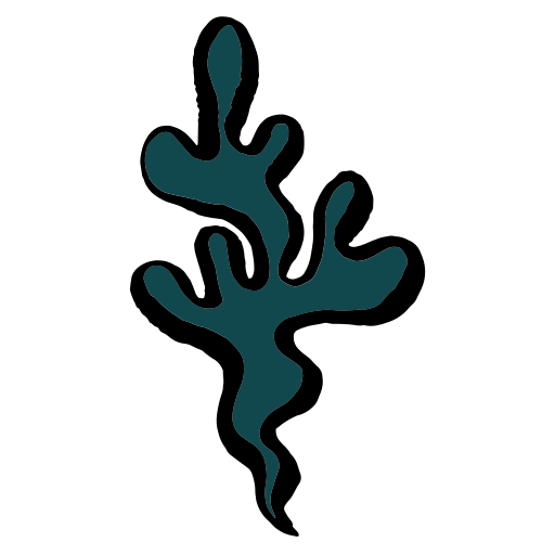 Ilustraciones Coral en PNG y SVG Ilustraciones Coral en PNG y SVG
