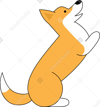 corgi dog Illustration in PNG, SVG