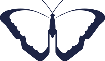 나비 PNG, SVG