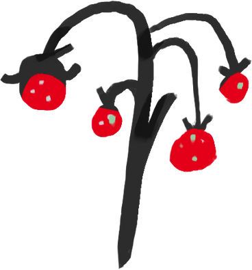 berries PNG, SVG