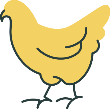 Chicken PNG, SVG