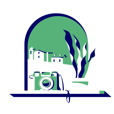 Photo camera and potted plant on windowsill PNG, SVG