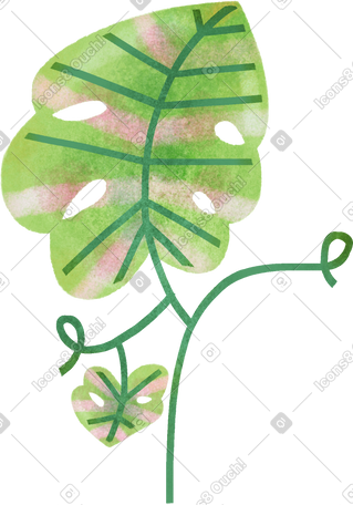 plants PNG, SVG