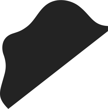 Schwarzer haarfleck PNG, SVG