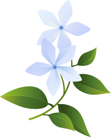white jasmine on a branch PNG, SVG