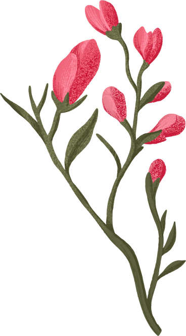 rose buds on branches PNG, SVG