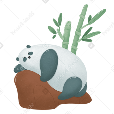 panda Illustration in PNG, SVG