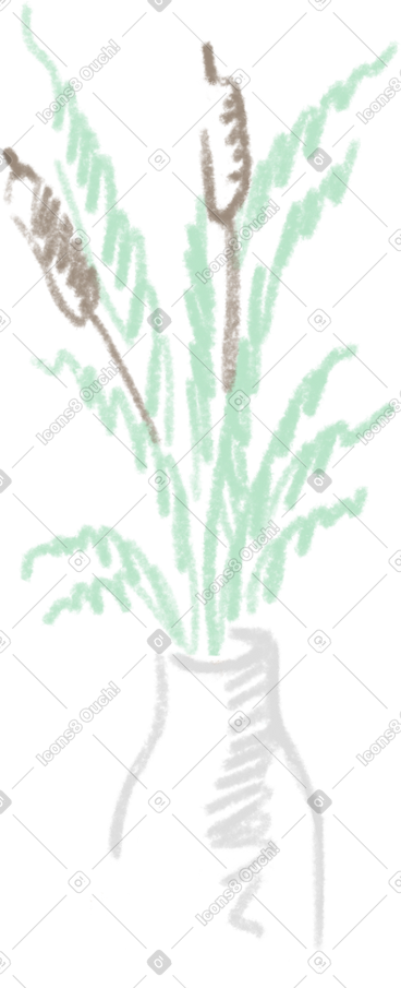 Cattails in a vase PNG, SVG