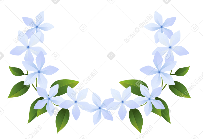 White jasmine flowers with leaves arranged in a semicircle PNG, SVG