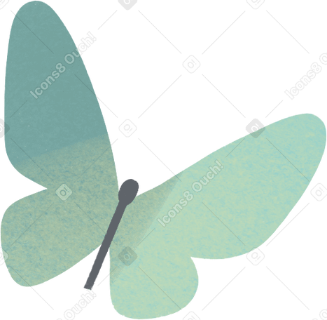 turquoise butterfly Illustration in PNG, SVG
