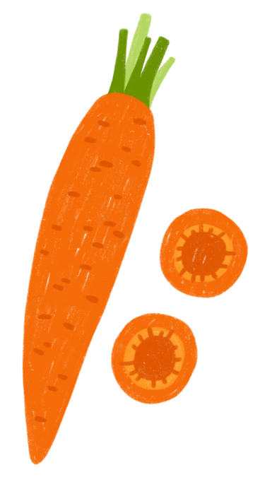Fette di carota e carota PNG, SVG