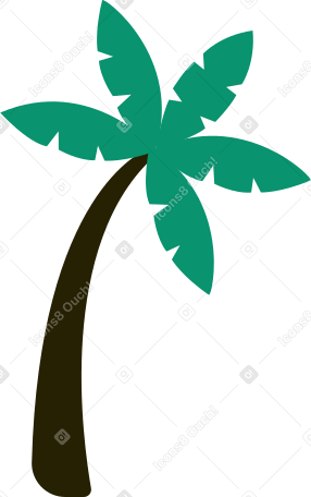 palma PNG, SVG