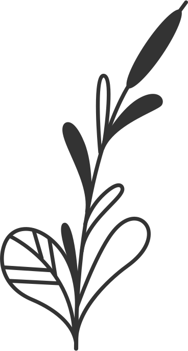 Junco PNG, SVG