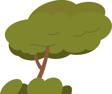 green grass into a lush tree PNG, SVG