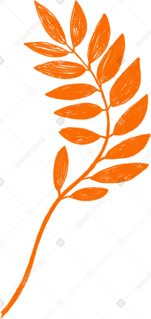 orange branch with laurel leaves Illustration in PNG, SVG