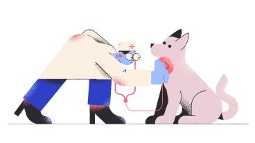 Veterinarian with stethoscope treating a dog PNG, SVG