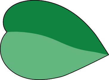 Leaf PNG, SVG