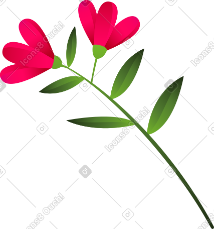 有两朵粉红色花朵的树枝 PNG, SVG