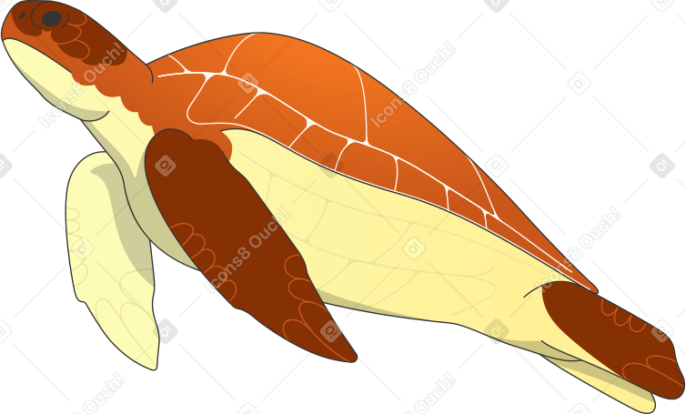 Grande tartaruga PNG, SVG